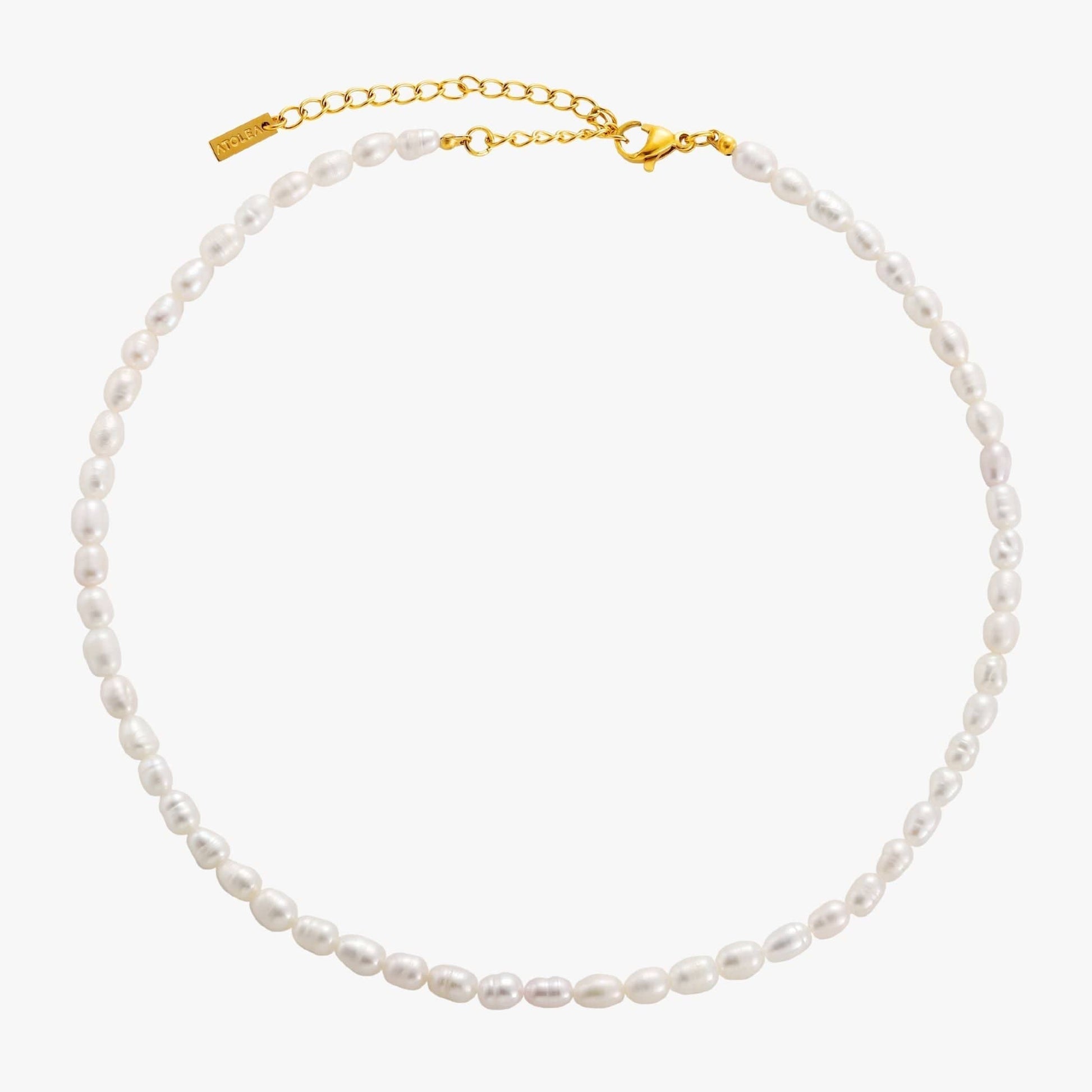 Zoetwaterparel Choker met Gouden PVD Coating voor Dames