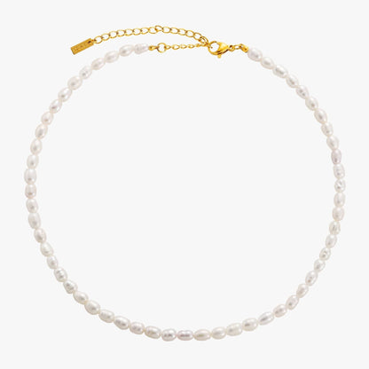 Zoetwaterparel Choker met Gouden PVD Coating voor Dames